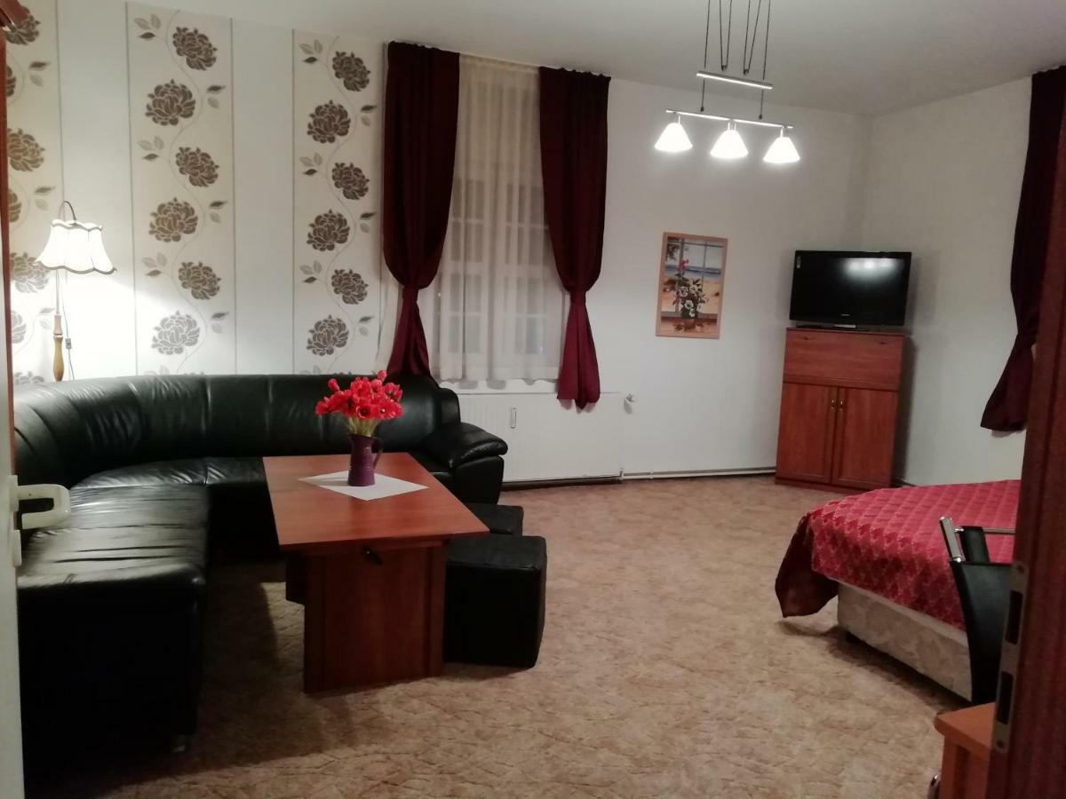 Grosse Wohnung Mit Terrasse Im Altstadtzentrum - Ferienwohnung Chiplakoff Blankenburg  Luaran gambar